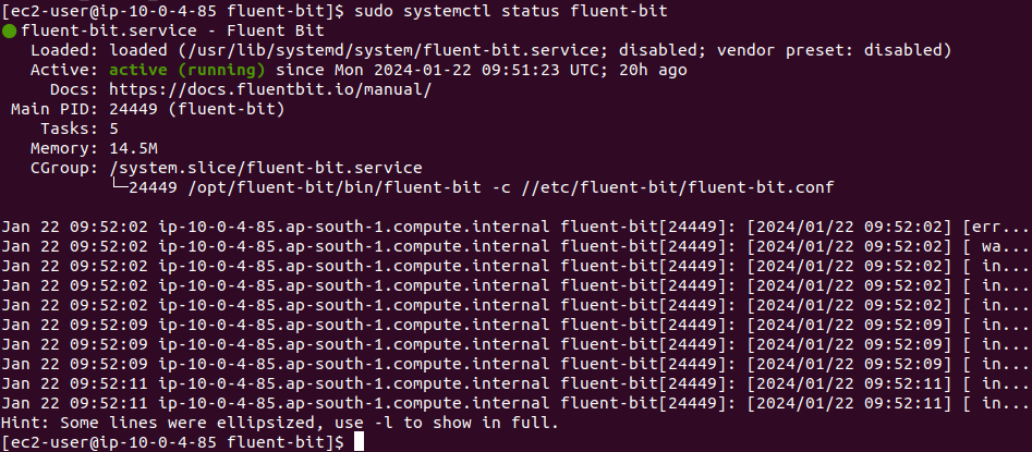 fluent_bit